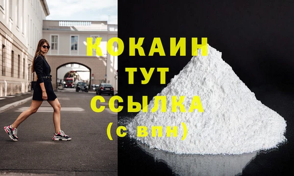 СК Алексин