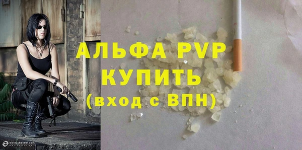 СК Алексин
