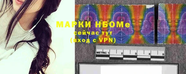 СК Алексин