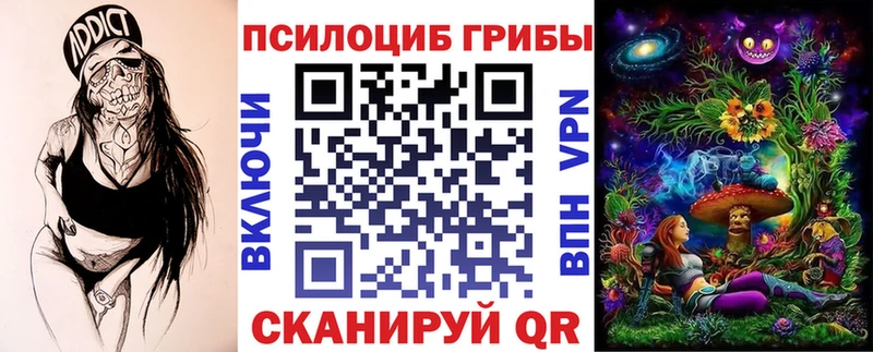 shop наркотические препараты Бологое Псилоцибиновые грибы Psilocybe kraken зеркало